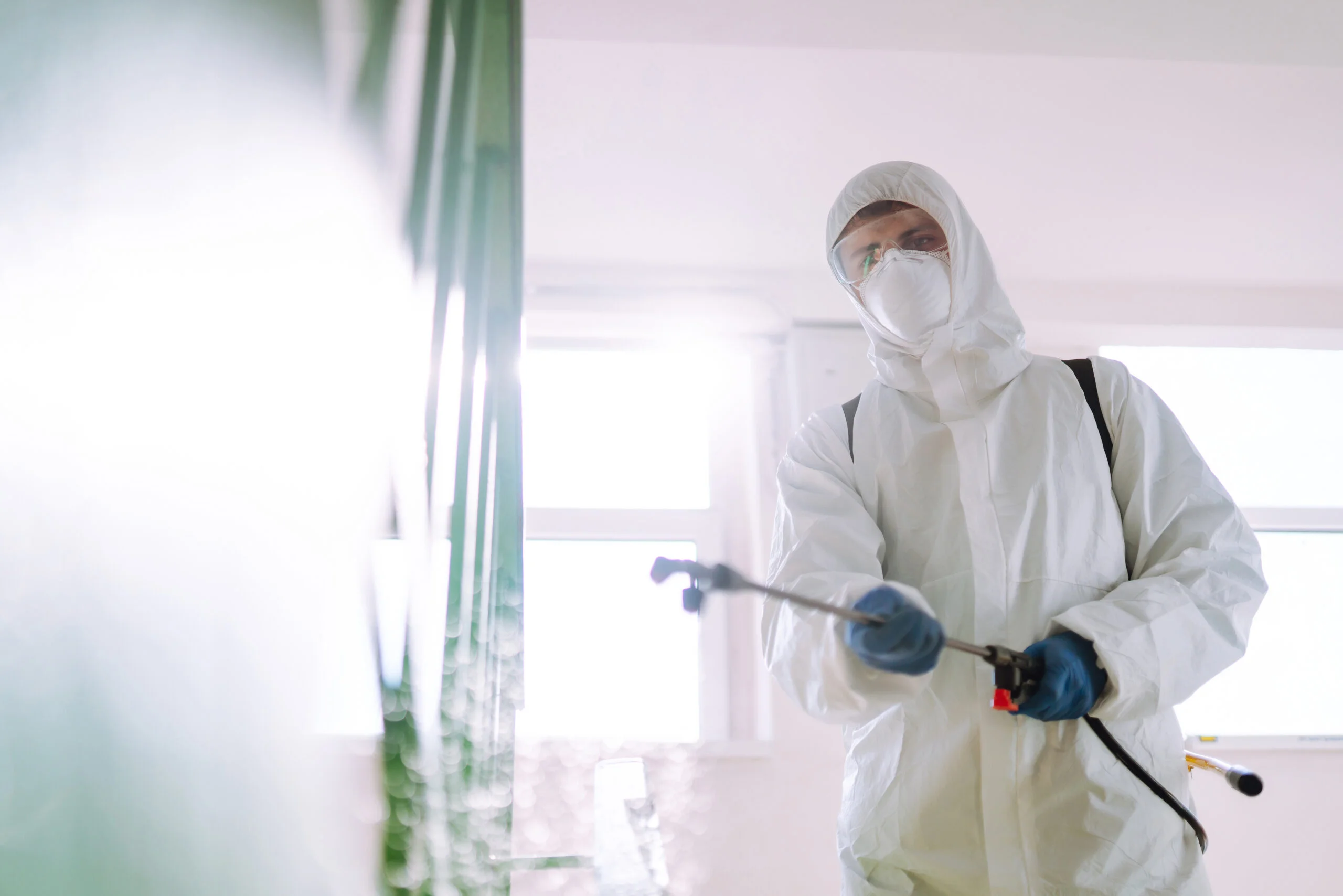 Seasonal pest control and infestation management in Dubai