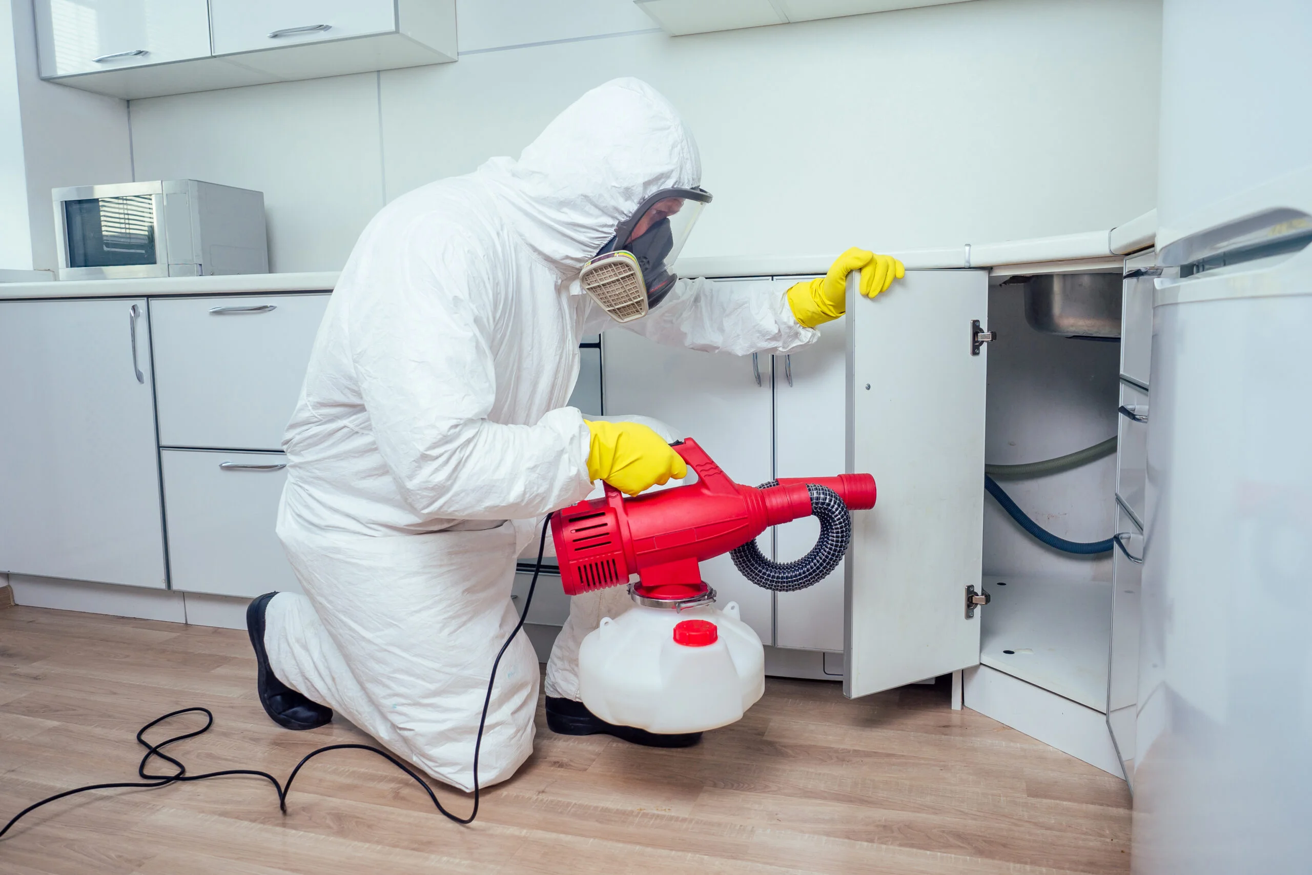 Pest control treatment for villas to eliminate common pests