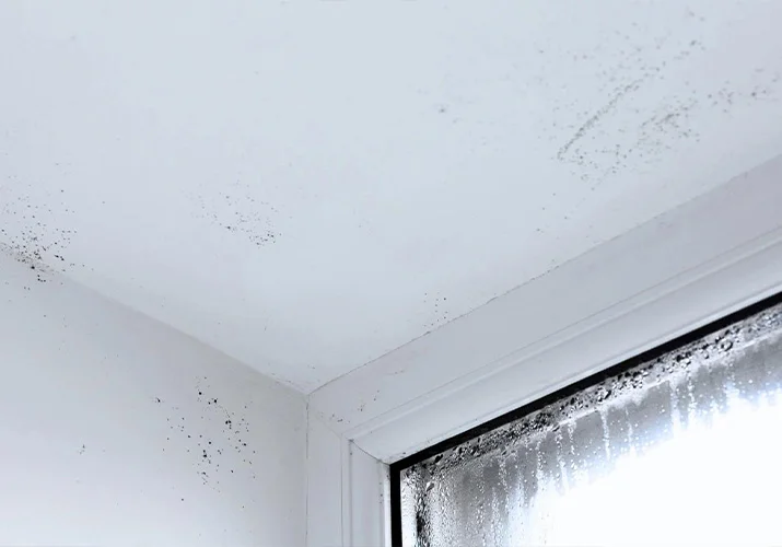 Mould growth visible inside an AC duct and around a ceiling vent in a humid UAE home.